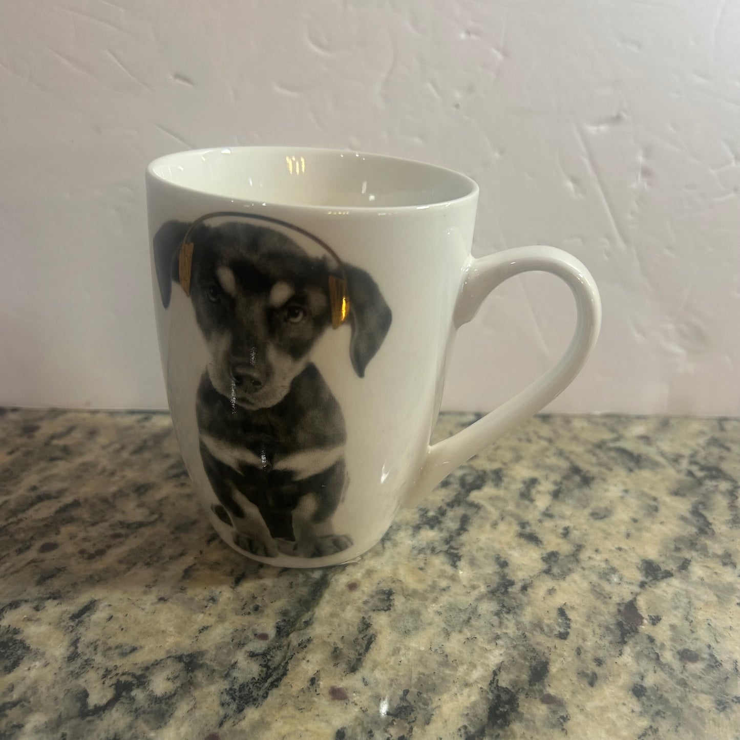 Cute Dog and Headphones Mug