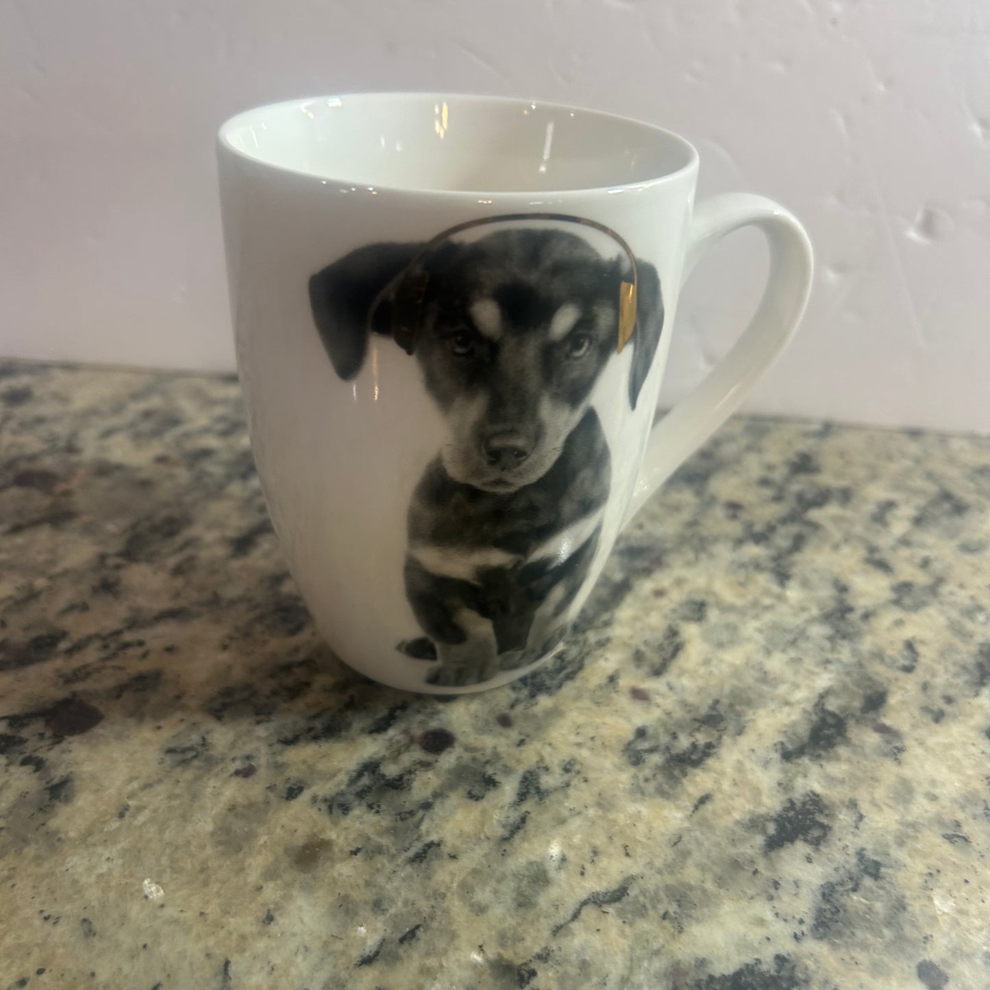 Cute Dog and Headphones Mug