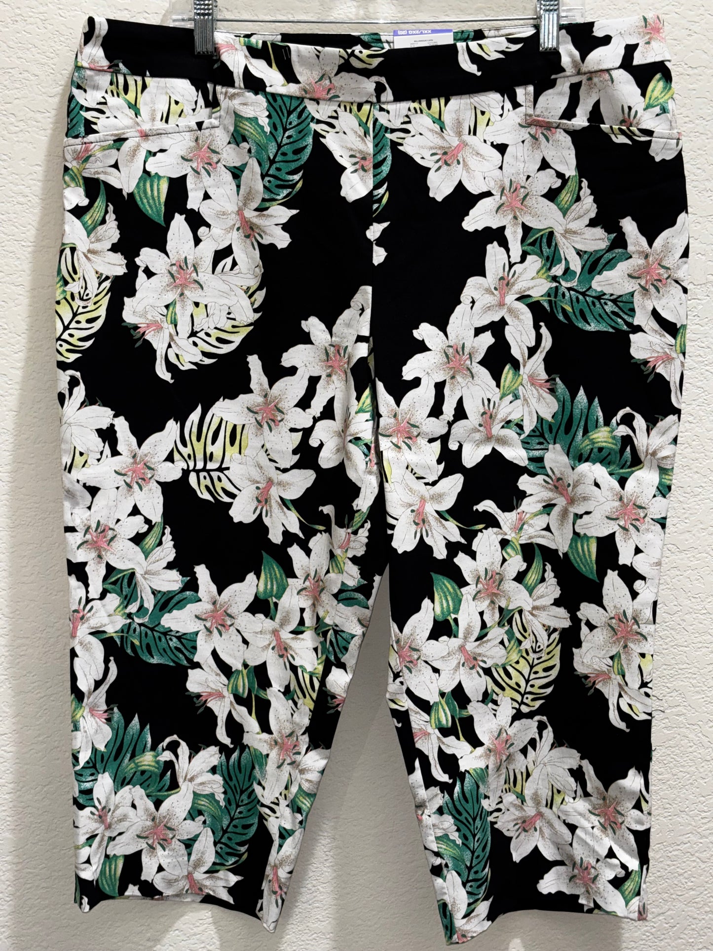 Time Tru Women’s Black Floral Capris size 2XL (20)