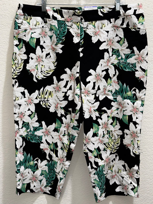 Time Tru Women’s Black Floral Capris size 2XL (20)