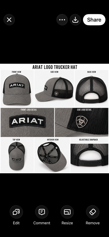 Ariat Trucker Hat Gray and Blsck
