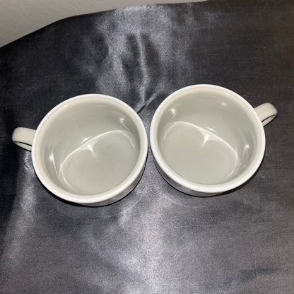 Mug Set of 2 pale gray made in Japan 8oz