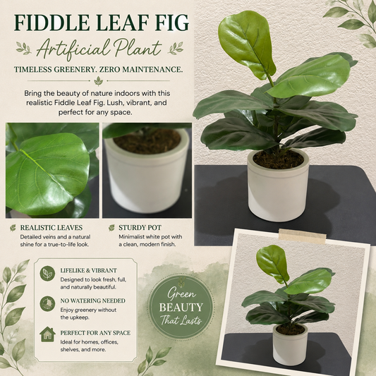 Faux Foliage  Fiddle Leaf in white Plantar
